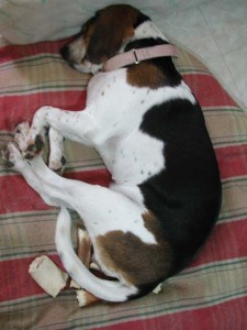 1380945465-2094067582