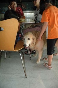 1380945466-3577438117