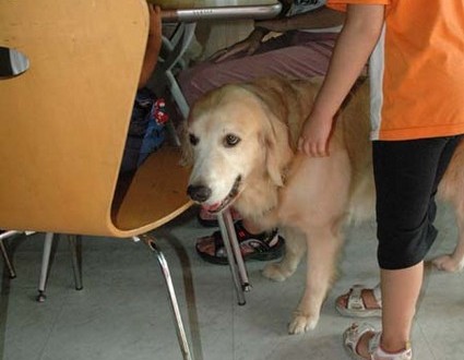 1380945466-3577438117