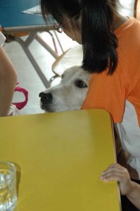 1380945467-929535924