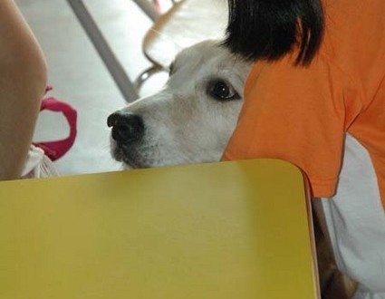 1380945467-929535924