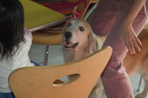 1380945468-1673304267