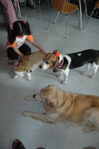 1380945468-1924095022