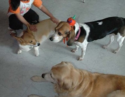 1380945468-1924095022