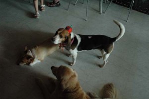 1380945468-2067821933