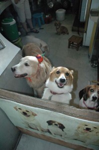 1380945469-1167615047