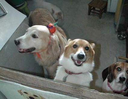 1380945469-1167615047