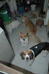 1380945469-2600129400