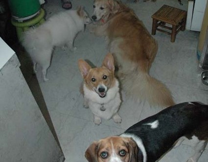 1380945469-2600129400