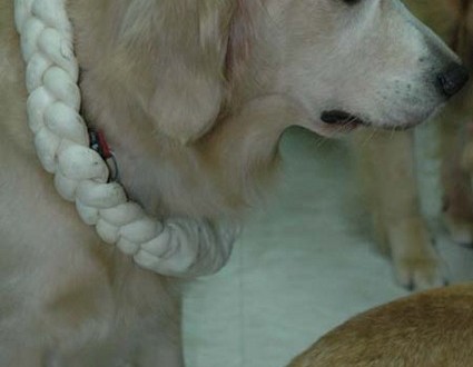 1380945470-1768798451