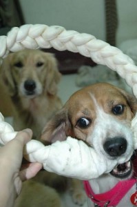 1380945470-615342692