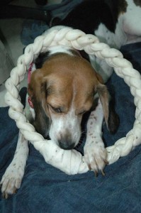 1380945471-2903617365