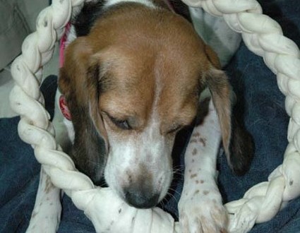 1380945471-2903617365