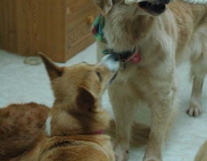 1380945472-2735311410