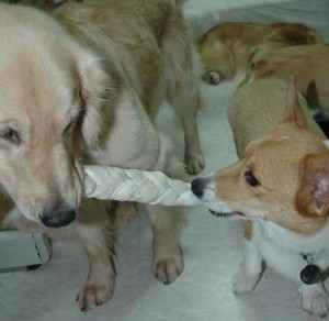 1380945472-478521777