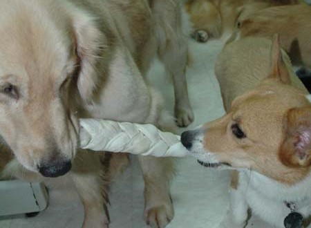 1380945472-478521777