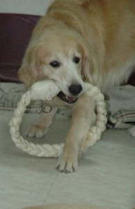 1380945473-1095957134