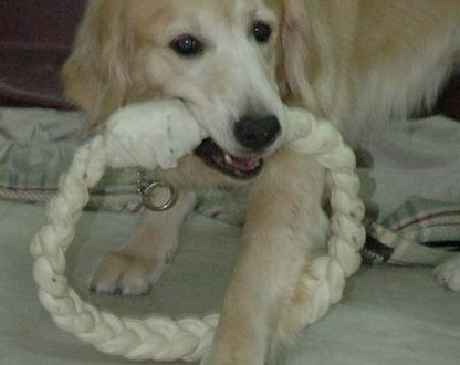 1380945473-1095957134