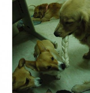 1380945473-1138113926