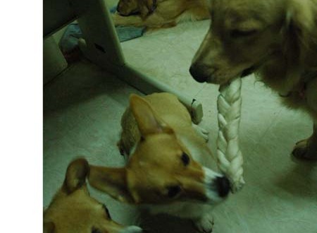 1380945473-1138113926