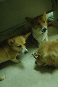 1380945474-1201352895