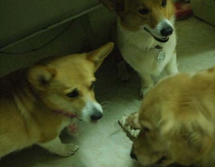 1380945474-1201352895