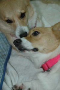 1380945474-2991298966