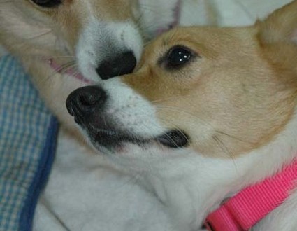 1380945474-2991298966