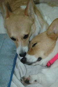 1380945475-2553398111