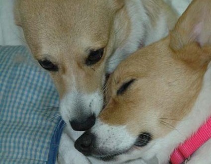 1380945475-2553398111