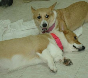 1380945475-2817397394