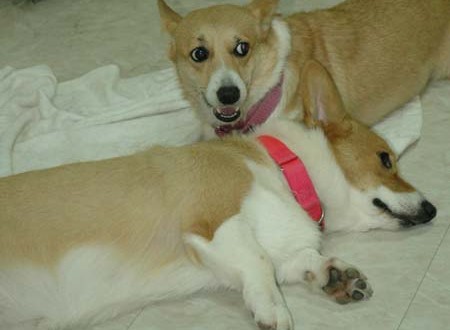 1380945475-2817397394