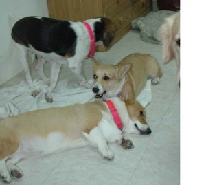 1380945476-238884086