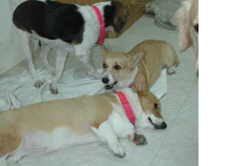 1380945476-238884086