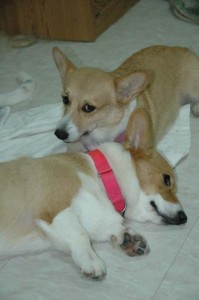 1380945476-2794443217