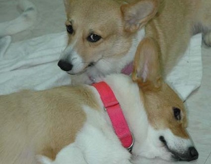 1380945476-2794443217