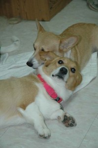 1380945477-3408467545