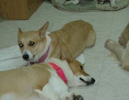 1380945477-727039338