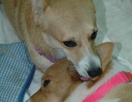 1380945478-1362303363