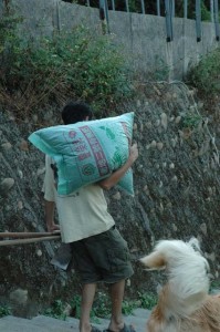 1380945482-2908613438