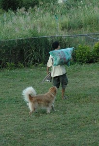 1380945483-1986167851