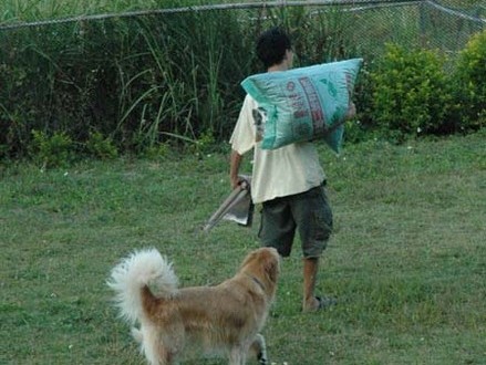 1380945483-1986167851