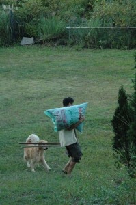 1380945483-2700278589