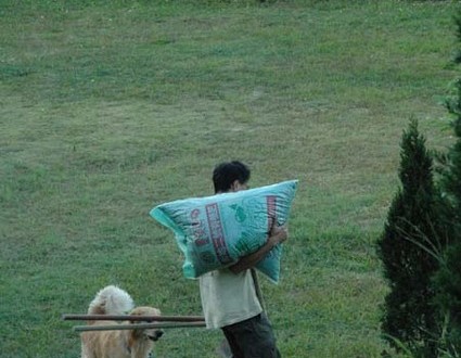 1380945483-2700278589