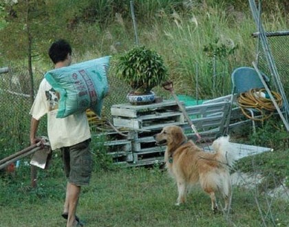 1380945484-2958531807