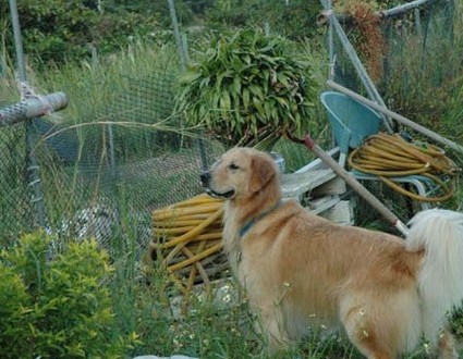 1380945484-3387802722