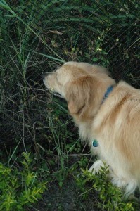 1380945485-1516174140