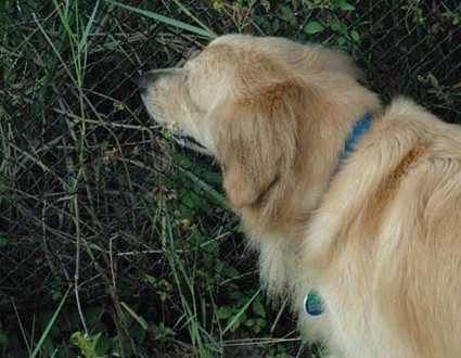 1380945485-1516174140