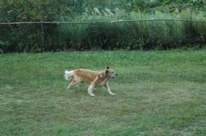 1380945485-3010633921