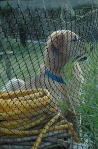 1380945486-3195189898